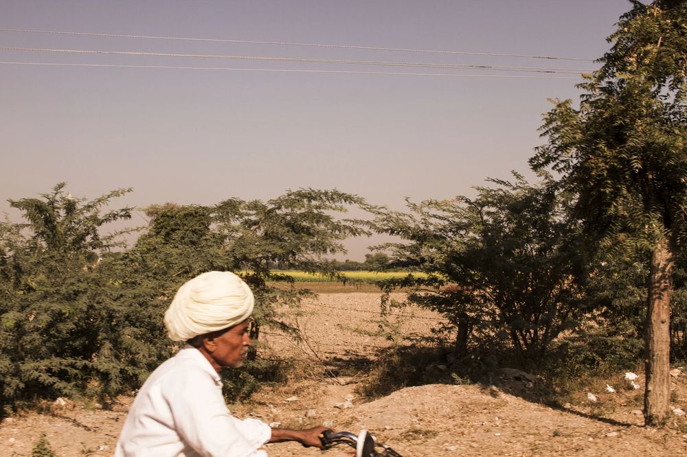 Farmer on bicycle, Jodhpur farmland, India